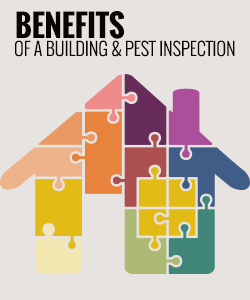Benefits of a Building and Pest Inspection